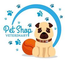 pet shop veterinário com cachorrinho e bola vetor