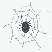 rótulo vintage spider e web, esboço desenhado à mão cartão de saudação de halloween, distintivo retro texturizado grunge, impressão de t-shirt de design tipográfico, ilustração vetorial vetor