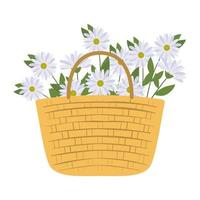 cesta de piquenique com um feixe de uma flor branca vetor