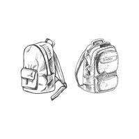 vetor desenhado à mão escola ilustração. detalhado retro estilo mochilas esboço. vintage esboço elemento. costas para escola.