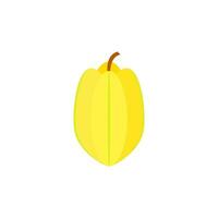 carambola ou Estrela fruta plano Projeto vetor ilustração