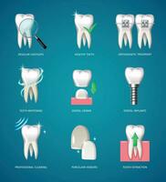 dentes realista ícones vetor