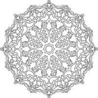 mandala. étnico decorativo elemento. mão desenhado pano de fundo. islamismo, árabe, indiano, otomano motivos. vetor