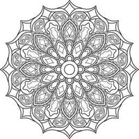 mandala. étnico decorativo elemento. mão desenhado pano de fundo. islamismo, árabe, indiano, otomano motivos. vetor