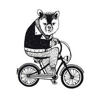 Urso em a bicicleta. vintage ilustração em branco fundo. vetor