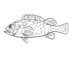 Relva rockfish lado Visão desenho animado desenhando vetor