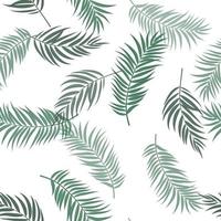 folhas de palmeira tropical sem costura de fundo. ilustração vetorial vetor