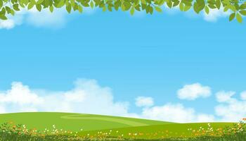 natureza Primavera campo paisagem, verde campo, nuvem, verão céu, natural horizonte rural cena com verde Prado e flor em colinas dentro ensolarado dia, bandeira para comedor, meio Ambiente dia fundo vetor