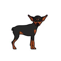 cão pinscher miniatura, mascote, personagem, raça vetor