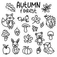 uma conjunto do rabisco outono floresta animais e objetos. vegetais, frutas, outono folhas, floresta animais dentro linear estilo em uma branco fundo. fofa outono. vetor ilustração