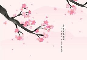 Cherry Blossoms Background Illustration