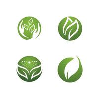 logotipos da ecologia de folhas verdes vetor