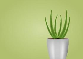 ilustração realista do fundo do conceito de vetor de aloe vera