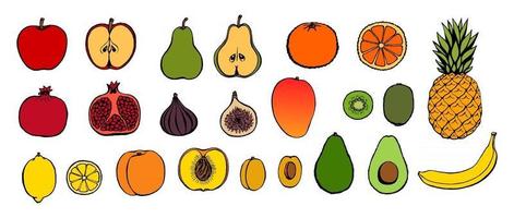 vector conjunto de ícones de frutas desenhadas à mão. coleção estilo retro decorativo menu de restaurante de produtos agrícolas, rótulo de mercado.