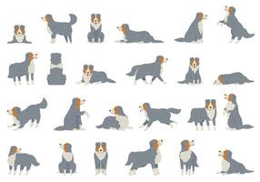 australiano pastor ícones conjunto desenho animado vetor. cachorro animal vetor