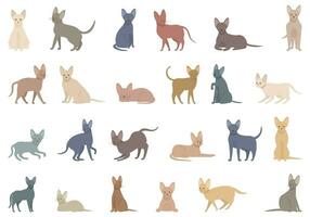 cornish rex ícones conjunto desenho animado vetor. gato animal vetor