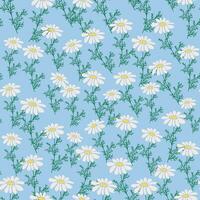 desatado padronizar criativo floral impressão com camomila flores, folhas dentro mão desenhado estilo em uma azul-turquesa fundo vetor