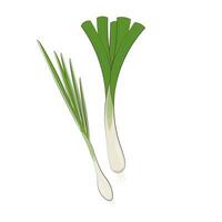 alho-poró e Scallion ou verde cebola desenho animado vetor ilustração logotipo