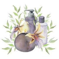 mão desenhado aguarela spa cuidados com a pele banho beleza produtos pacote flores horizontal composição isolado em branco fundo. Projeto para parede arte, bem estar recorrer, imprimir, tecido, cobrir, cartão, livreto. vetor