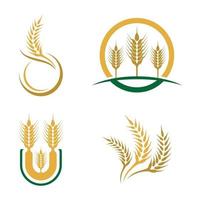 imagens do logotipo da wheat vetor