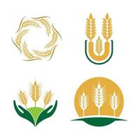 imagens do logotipo da wheat vetor