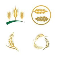 imagens do logotipo da wheat vetor