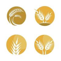 imagens do logotipo da wheat vetor