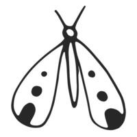 borboleta, simples linha desenho, Preto contorno. mão retirou, vetor, em branco fundo isolado. Visão a partir de acima. vetor