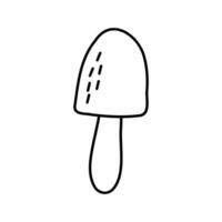ícone de cogumelo. ilustração vetorial de amanita isolada no fundo branco vetor