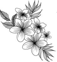 esboço do floral arranjo ilustração vetor