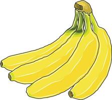 amarelo banana fruta vetor ou ilustrador imagem ênfase é principalmente em amarelo e laranja. de enfatizando a brilho do cores para Veja Mais animado