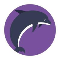 uma famoso espetacular golfinho saltar vetor
