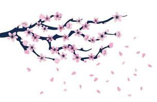 desenho animado cor florescendo sakura ramo com flores vetor