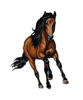 cavalo correndo a galope de respingos de aquarelas, desenho colorido, realista. ilustração vetorial de tintas