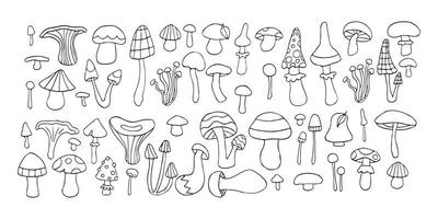 vetor cogumelo rabisco definir, linha arte fantasia esboço floresta fungos coleção, orgânico outono esboço