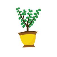 jardim ou apartamento verde plantar para interior dentro uma vaso. amarelo decoração Panela para casa flores vetor