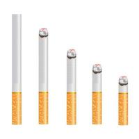 design realista de 5 vários tamanhos de cigarro. queimando e não queimando ilustração em vetor estilo design 3d isolada no fundo branco.