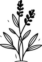 lavanda - minimalista e plano logotipo - vetor ilustração