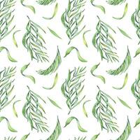 Palma folhas do Açaí árvore aguarela desatado padronizar isolado em branco. verde Escovar do tropical Palma, exótico folha mão retirou. Projeto elemento para invólucro, embalagem, têxtil, fundo, papel vetor