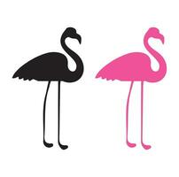 vetor imagem do silhueta flamingo