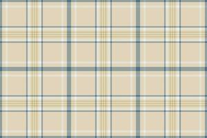 padronizar fundo tecido do têxtil Verifica xadrez com uma desatado textura vetor tartan.