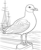 gaivota pássaro coloração página vetor ilustração