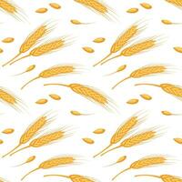 desatado padronizar do espiguetas e sementes do trigo. grãos do trigo, cevada, centeio em uma branco fundo. agricultura fundo, imprimir, vetor