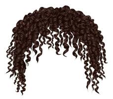 na moda encaracolado desgrenhado africano Castanho cabelo . realista 3d . moda beleza estilo .unissex mulheres homens.afro vetor