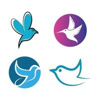 imagens do logotipo do pássaro vetor