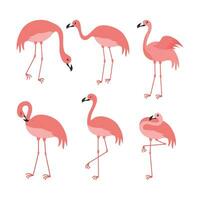 Rosa flamingo desenho animado ilustração isolado dentro branco fundo. verão animal ilustração vetor