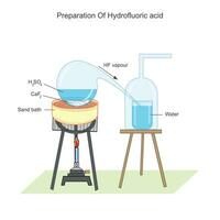 hidroflúrico ácido preparação dentro laboratório.cálcio fluoreto e concentrado sulfúrico ácido reagir para dar fluorídrico ácido, químico dentro indústria e laboratório. vetor