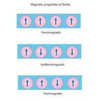 magnético propriedades do sólidos, ferromagnético, antiferromagnético e ferrimagnético substâncias. Ciência ilustração. vetor