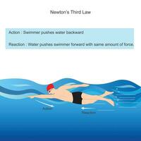 newtons terceiro lei. nadador empurra água para trás com força e dentro Retorna água empurra nadador frente com mesmo montante do força. física ilustração. vetor