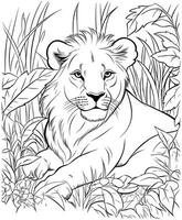 desenhos de leão para colorir para adultos vetor